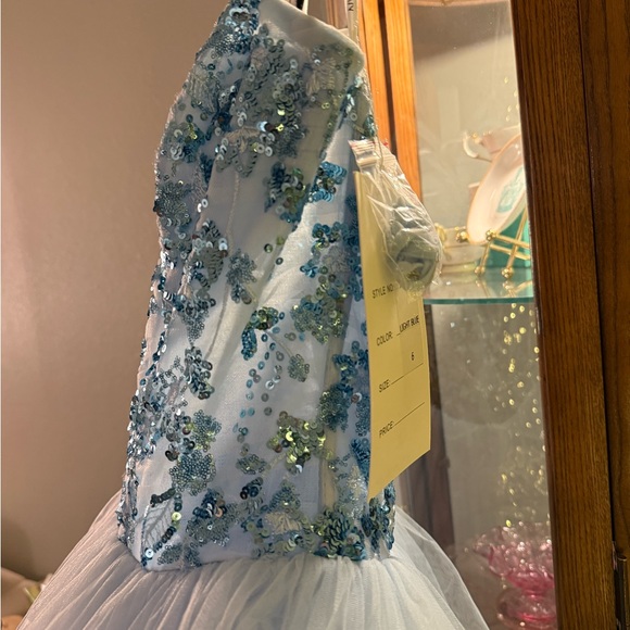 Pageant / Prom Gown by Rachel Allan size 6 - Picture 4 of 11